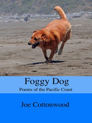 cover image of Foggy Dog
